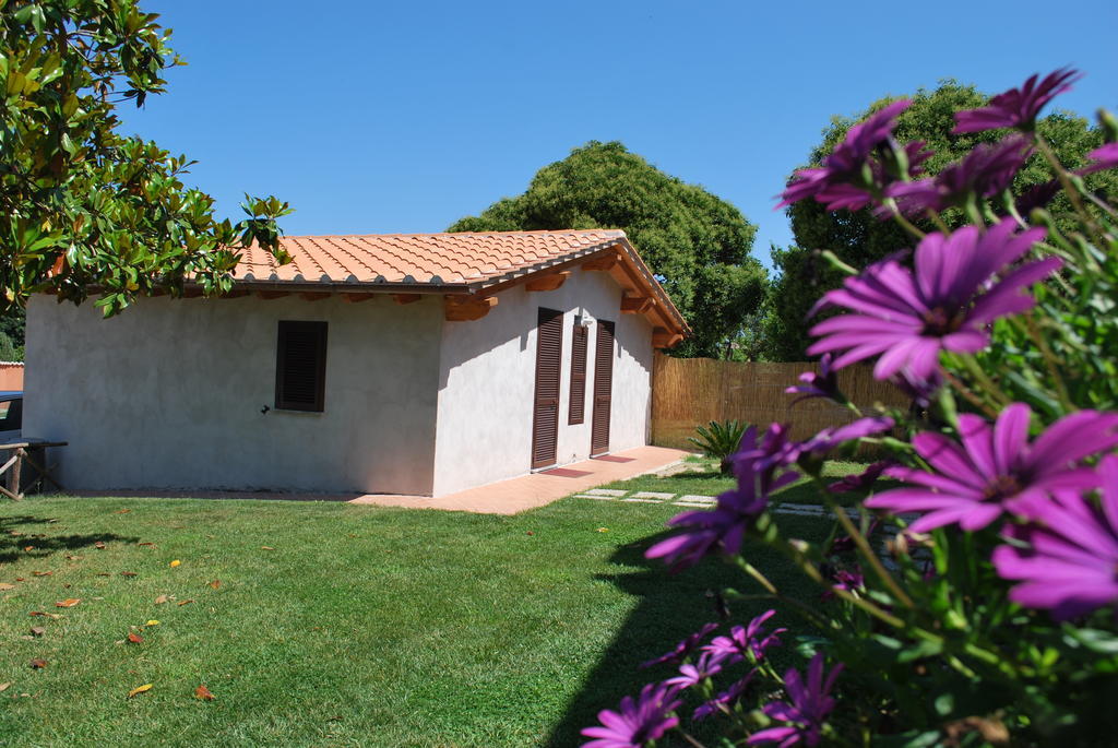 Agriturismo La Valle Di Ceri Cerveteri Zewnętrze zdjęcie