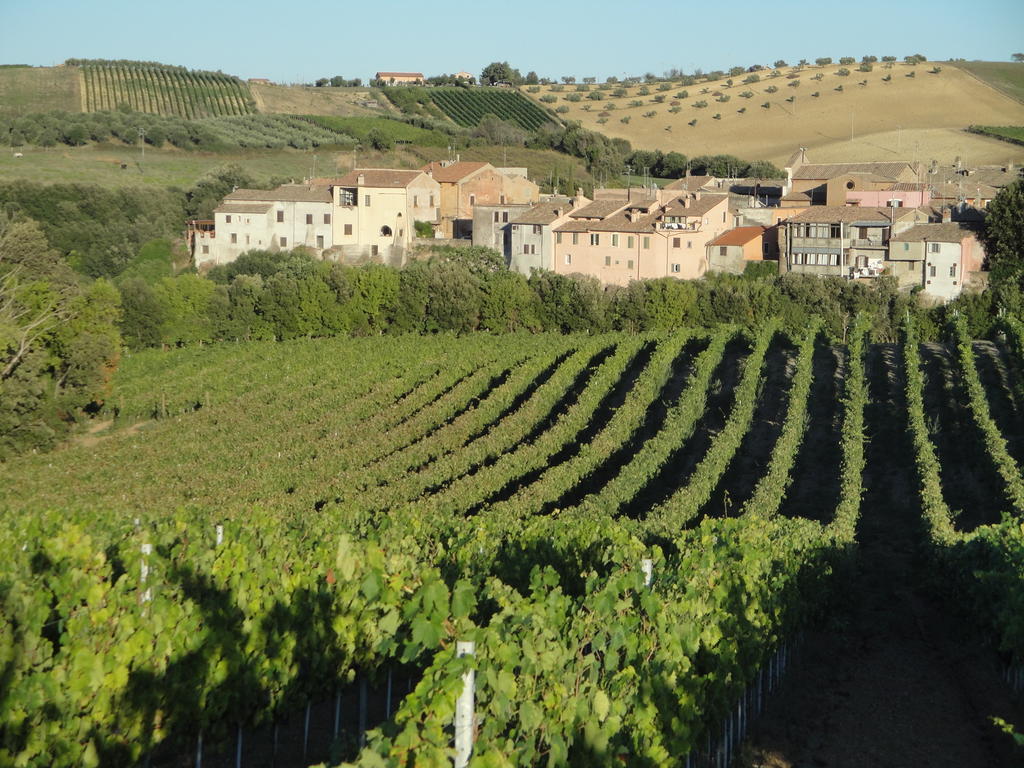 Agriturismo La Valle Di Ceri Cerveteri Zewnętrze zdjęcie